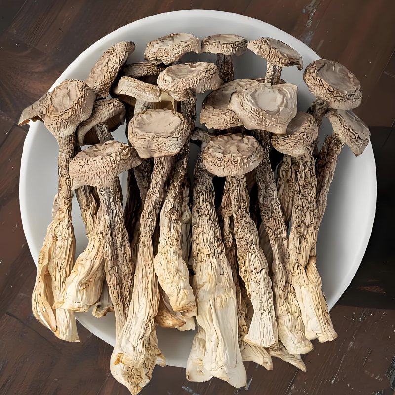 原产地鹿茸菇电话联系更优惠品质保障价格美丽