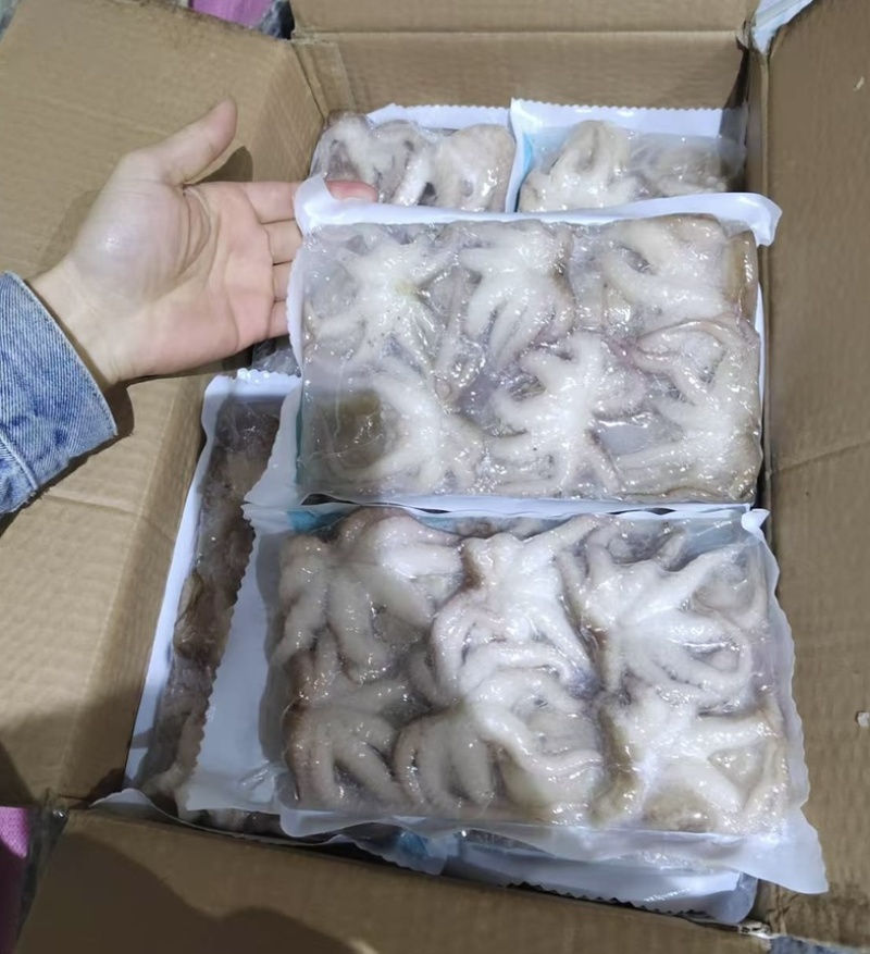 盐磨八爪鱼
