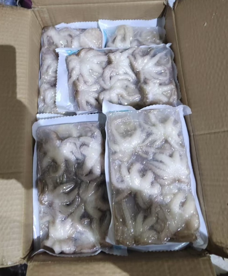 盐磨八爪鱼