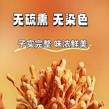 福建省古田县厂家直销批发虫草花，电话联系可优惠