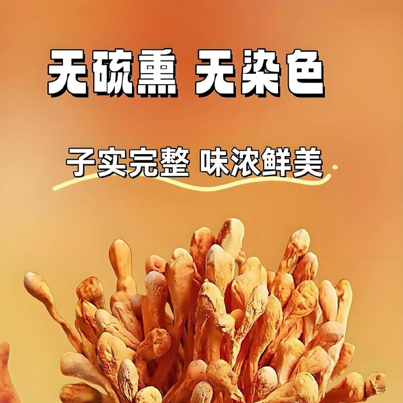 福建省古田县厂家直销批发虫草花，电话联系可优惠
