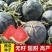 西疆909黑皮红瓤无籽西瓜种子中晚熟耐病耐湿抗逆强