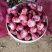 鲜蒜供应中