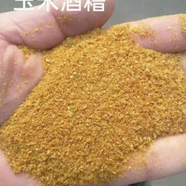 玉米酒糟DDGS，
