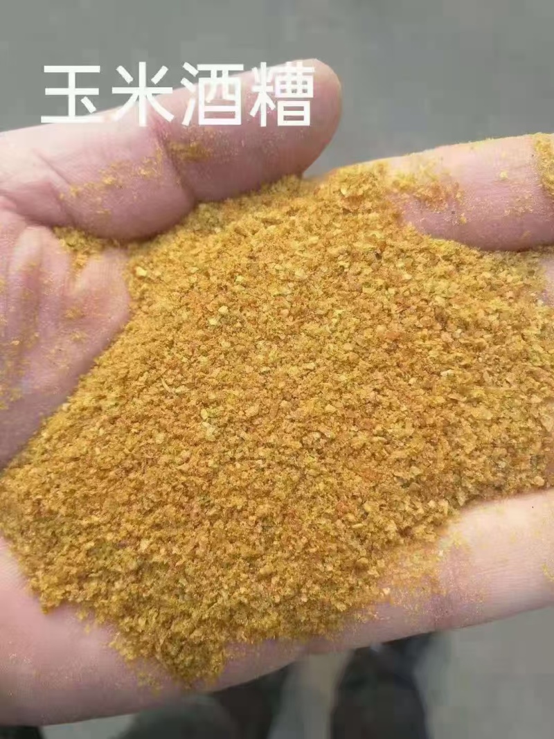 玉米酒糟DDGS，