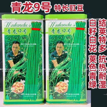 慕兰多青龙9号豆角种子白籽白花特长豇豆种子青绿色豆角耐热