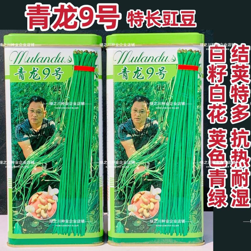 慕兰多青龙9号豆角种子白籽白花特长豇豆种子青绿色豆角耐热