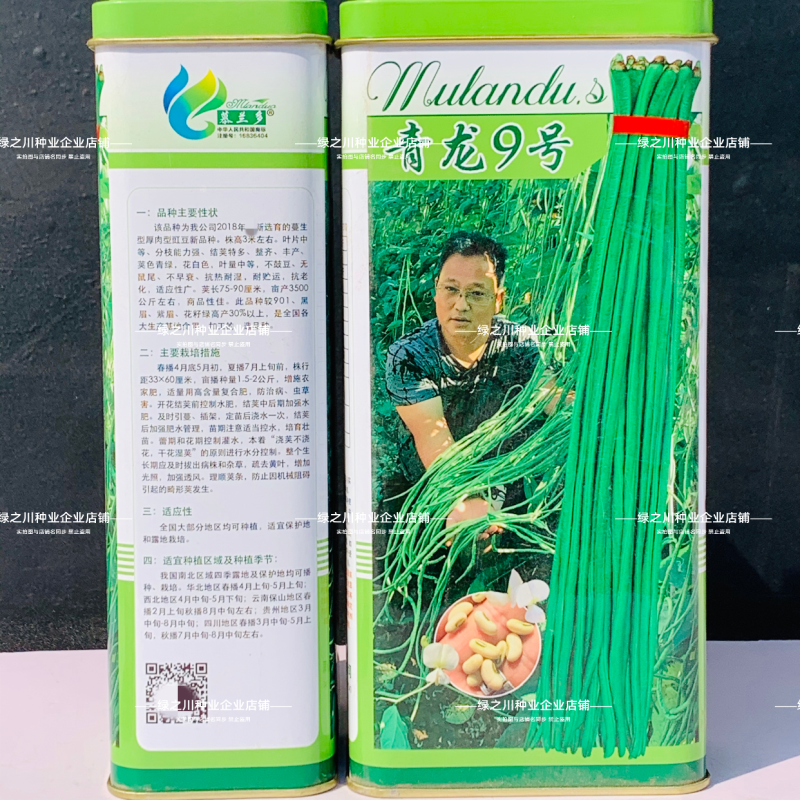 慕兰多青龙9号豆角种子白籽白花特长豇豆种子青绿色豆角耐热