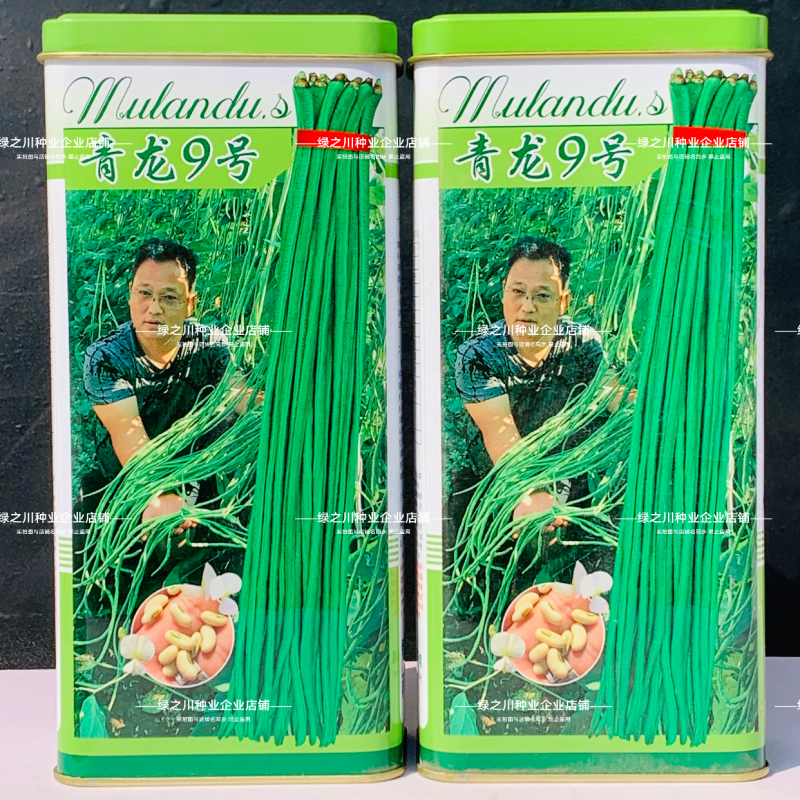 慕兰多青龙9号豆角种子白籽白花特长豇豆种子青绿色豆角耐热