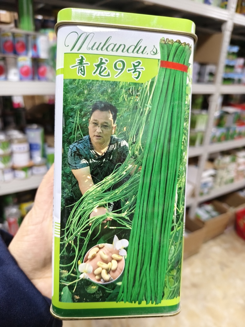 慕兰多青龙9号豆角种子白籽白花特长豇豆种子青绿色豆角耐热
