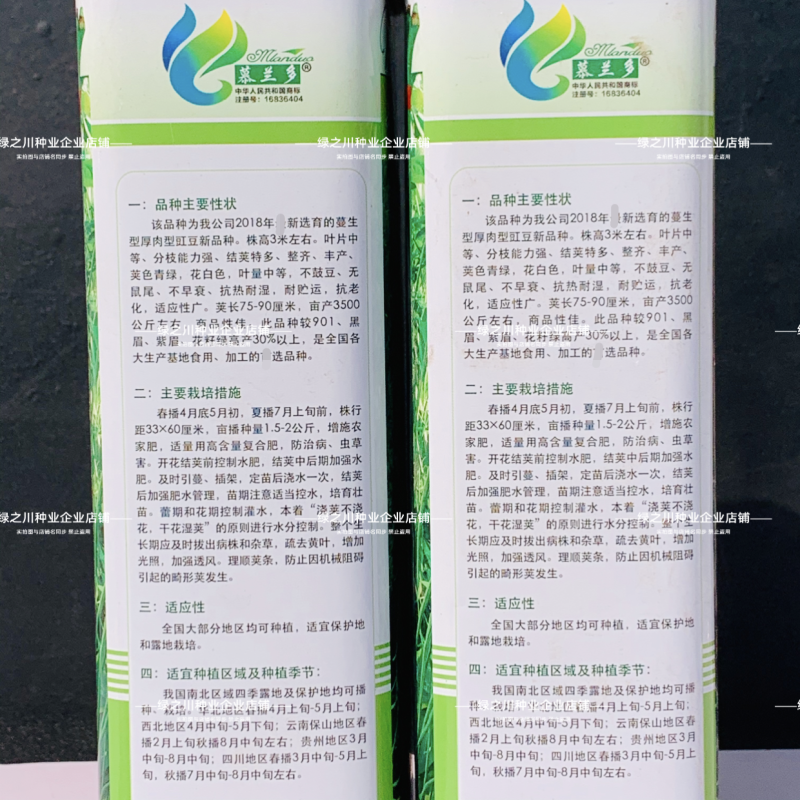 慕兰多青龙9号豆角种子白籽白花特长豇豆种子青绿色豆角耐热