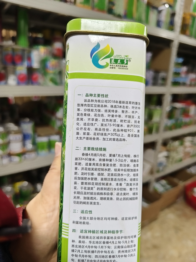 慕兰多青龙9号豆角种子白籽白花特长豇豆种子青绿色豆角耐热