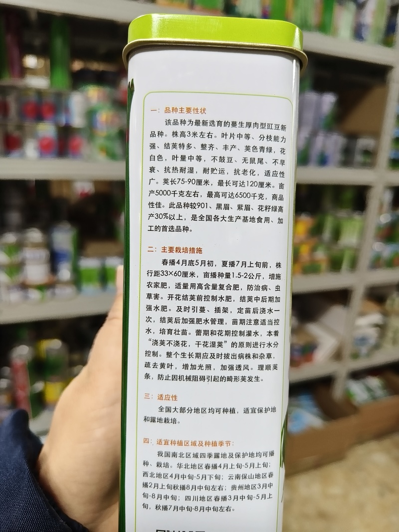 全能绿霸豆角种子升级黑眉豆角种子大肉豇豆种子白籽白花抗热