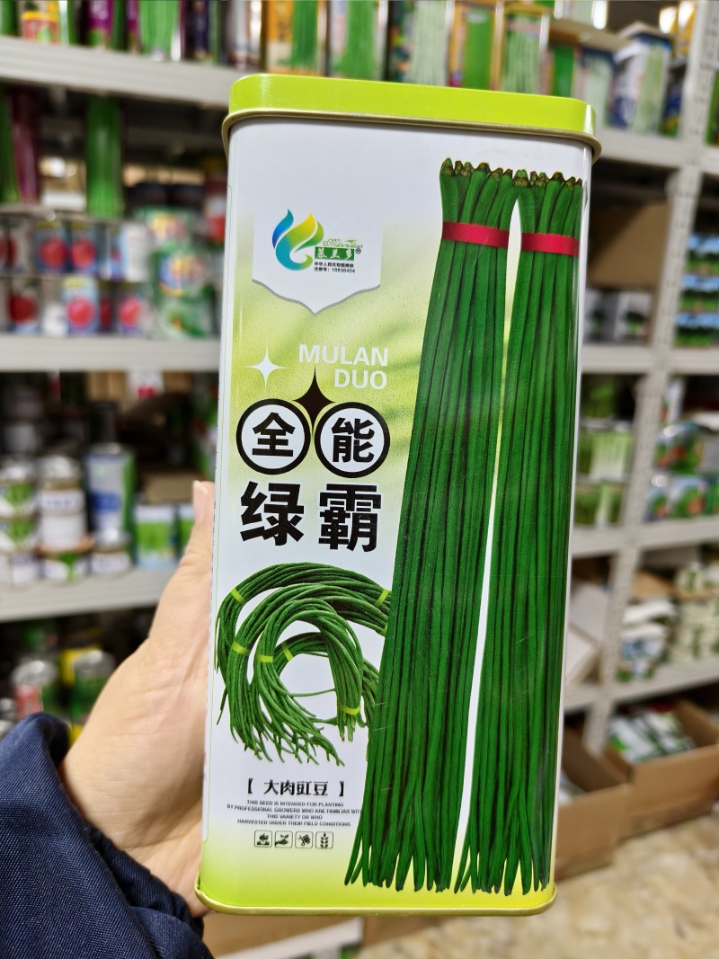 全能绿霸豆角种子升级黑眉豆角种子大肉豇豆种子白籽白花抗热