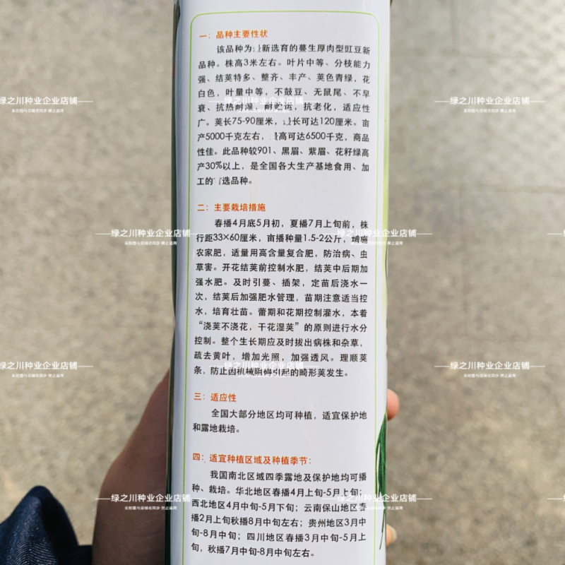 全能绿霸豆角种子升级黑眉豆角种子大肉豇豆种子白籽白花抗热