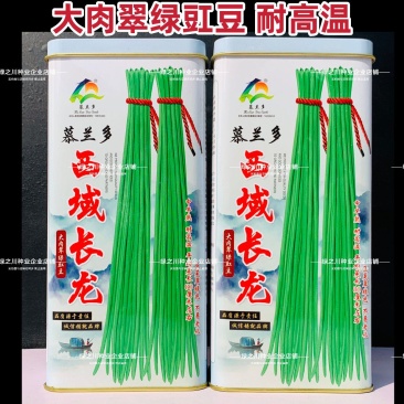 高抗枯萎病西域长龙豇豆种子大肉翠绿色长豆角种子绿肉实心