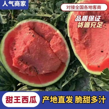 蒲城甜王西瓜/糖度13+化渣率高/无籽西瓜/产地代办代发