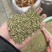 孜然粒印度进口孜然新疆孜然产地直供保证纯度