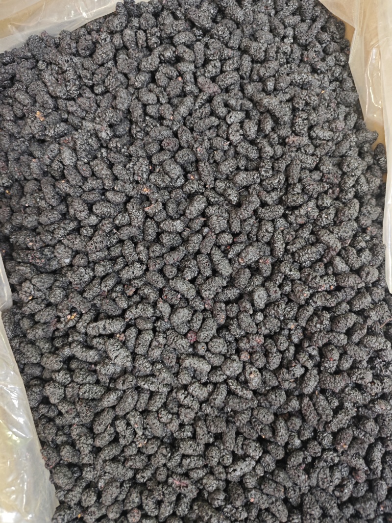桑葚子。四川货，烘干货，安徽亳州产地直供保质保量量大从优