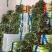 莴苣安徽红尖叶香莴苣承接商超电商无花无空心一手货