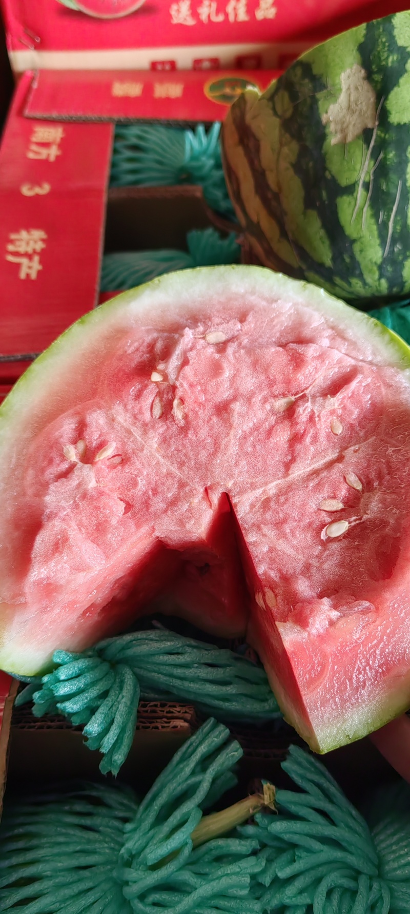精品美都西瓜产地直发甘甜大红质量保证代发全国