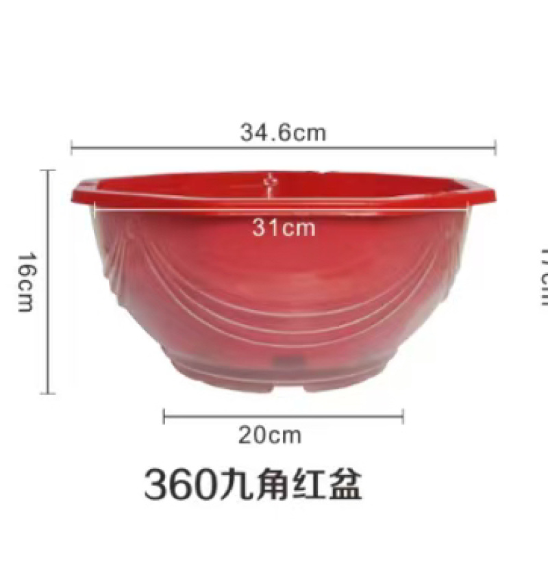 360九角透明吸水盆/大红/铁红360高脚盆
