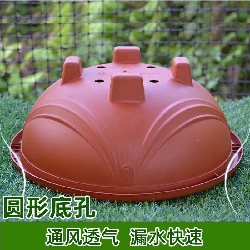360九角透明吸水盆/大红/铁红360高脚盆