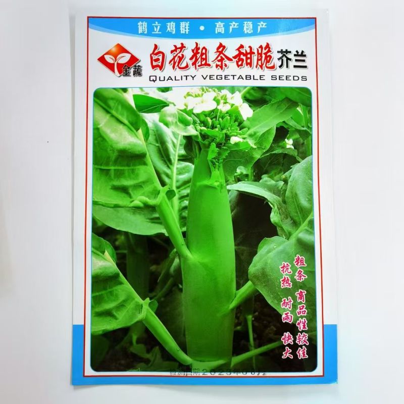 白花粗条甜脆芥兰种子耐寒耐雨稍耐热抗逆性强四季菜
