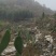 食用仙人掌米绑塔仙人掌种植片基地直发价格优惠