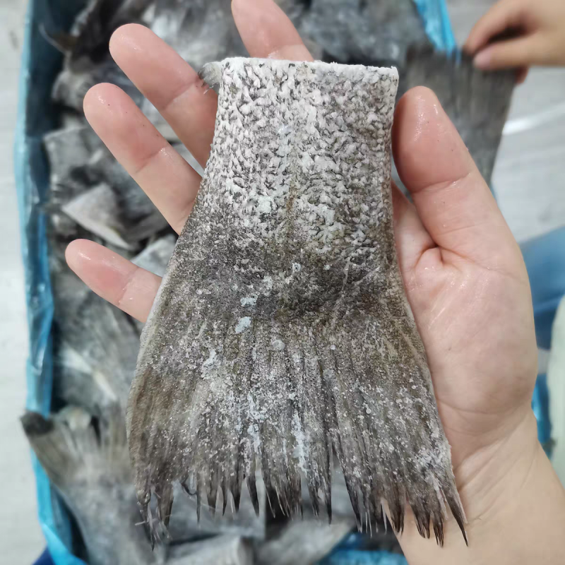 新鲜冷冻鸦片鱼尾薄冰火锅烧烤蝶鱼尾比目鱼小号单冻酒店食材