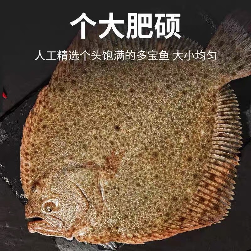 顺丰包邮比目鱼600-800规格/条包邮到家活冻锁鲜