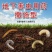 联苯噻虫胺2%颗粒剂韭菜韭蛆农药杀虫剂颗粒剂低毒底施撒施