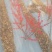 清地处理2-3公分的北美冬青2万棵，全部年宵花品质精品苗