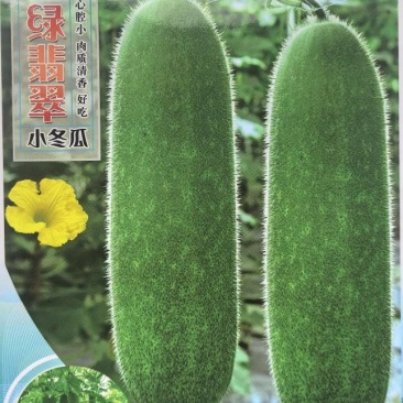 冬瓜种子绿翡翠翠绿毛节瓜肉厚腔小