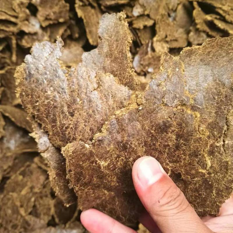 上地施肥通用棉籽饼有机肥，蔬菜，瓜果，大棚种植都能用
