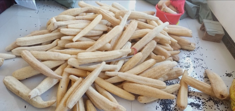 精品丝瓜络48一斤50斤起批