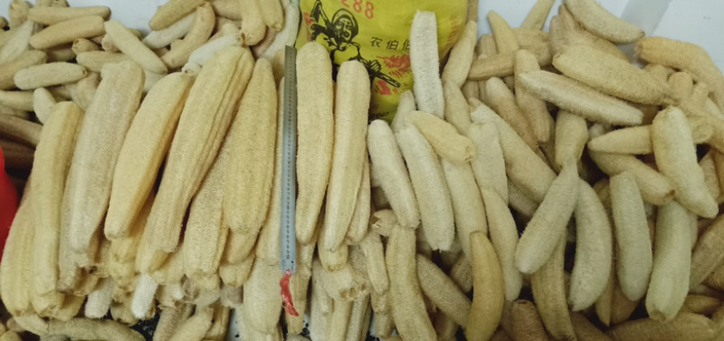 精品丝瓜络48一斤50斤起批