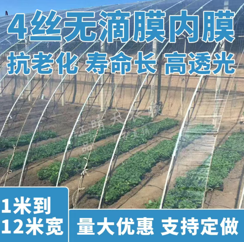 大棚膜二棚内膜小内膜小拱棚膜兰色透明保温膜8米10米12