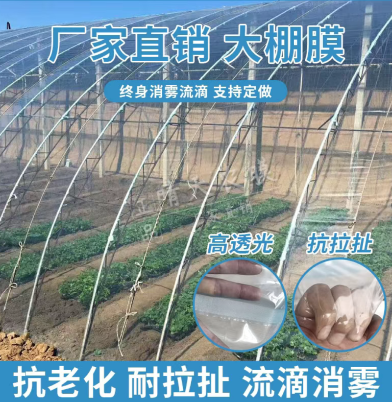 大棚膜二棚内膜小内膜小拱棚膜兰色透明保温膜8米10米12