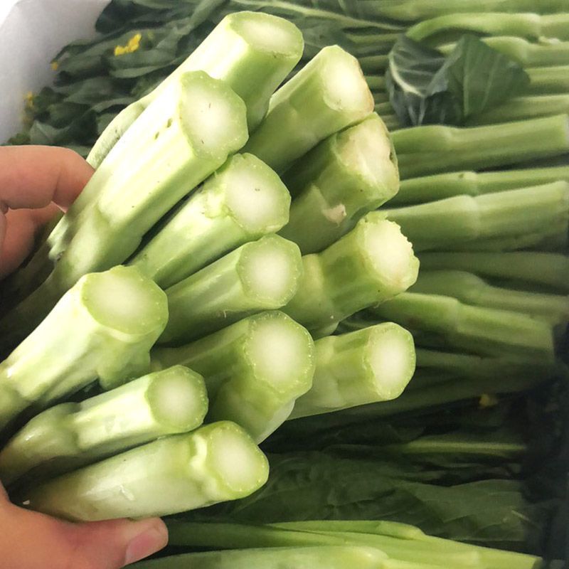 80天油清甜菜心种子抗热耐寒甜菜苔种籽多次采收