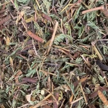 软肝草【包邮】三斤起发货可批量可零售量大从优
