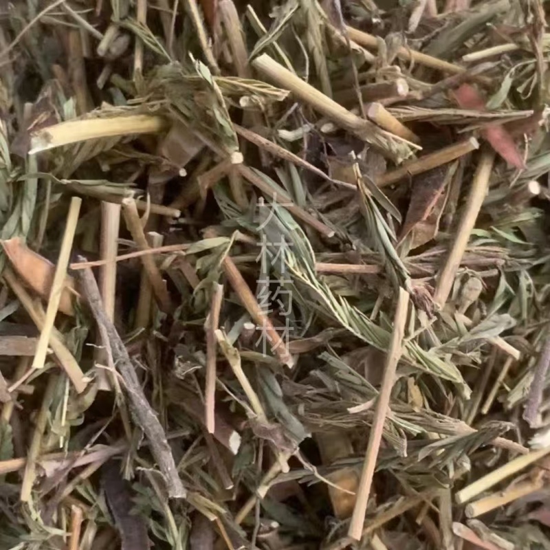 软肝草【包邮】三斤起发货可批量可零售量大从优