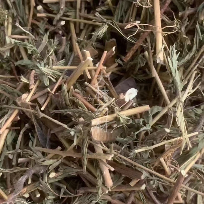 软肝草【包邮】三斤起发货可批量可零售量大从优