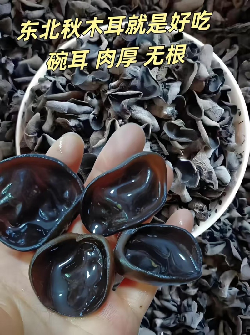 东北黑木耳批发小碗耳秋木耳无根肉厚黑木耳