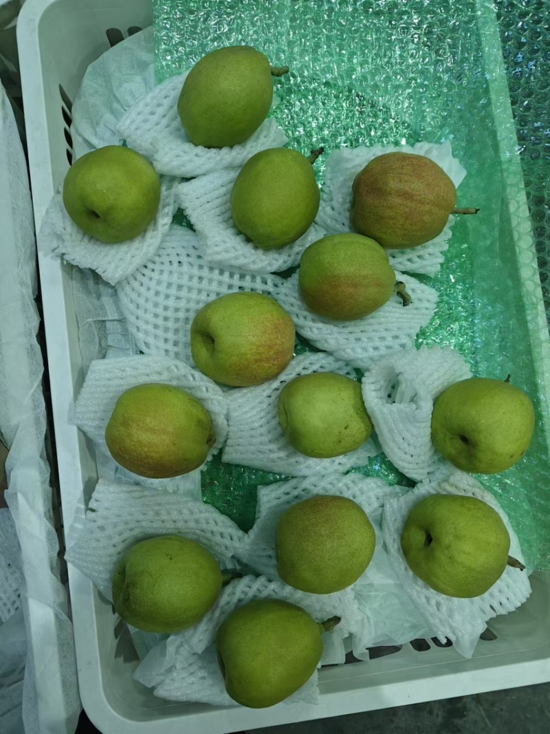 库尔勒香梨