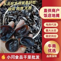 黑木耳秋木耳代发快递对接各平台电商批发零售饭店摆地摊