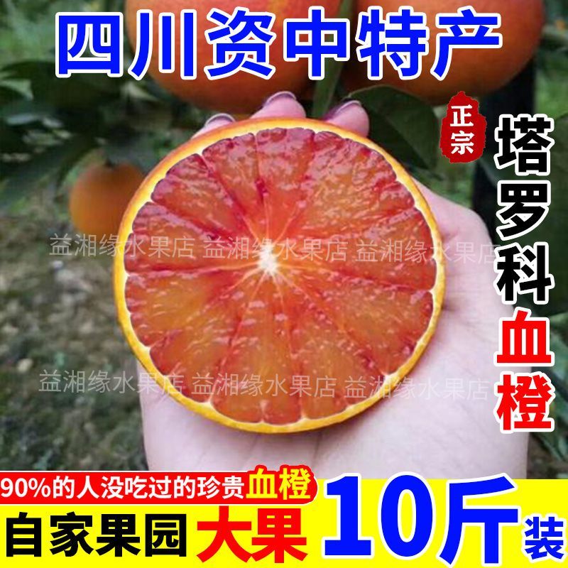 四川血橙橙子一件代发电商平台对接抖音快手视频号直播等~~