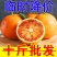 四川血橙橙子一件代发电商平台对接抖音快手视频号直播等~~
