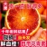 四川血橙橙子一件代发电商平台对接抖音快手视频号直播等~~