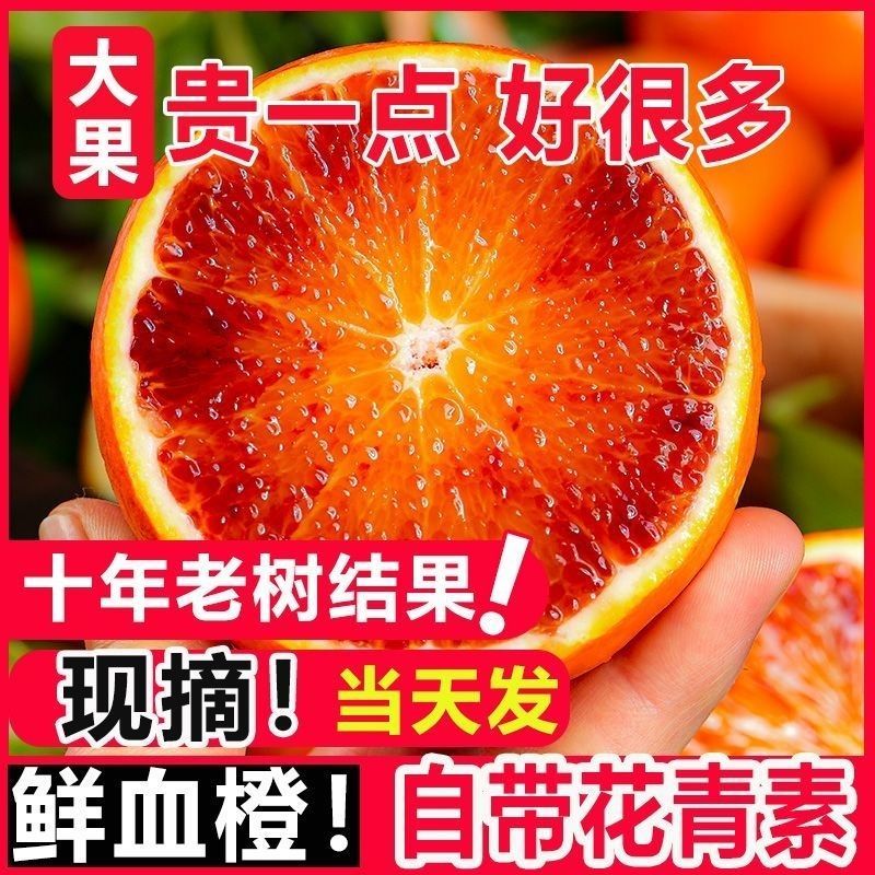 四川血橙橙子一件代发电商平台对接抖音快手视频号直播等~~